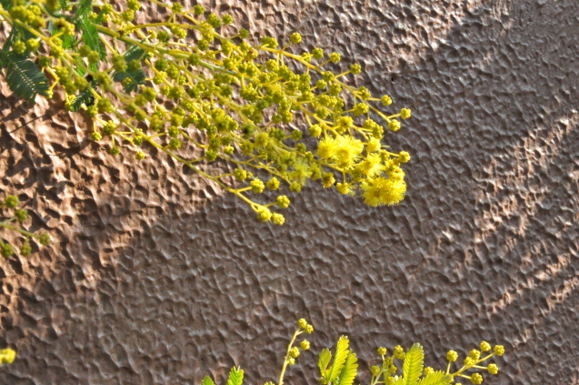 b0214652_16041201.jpg