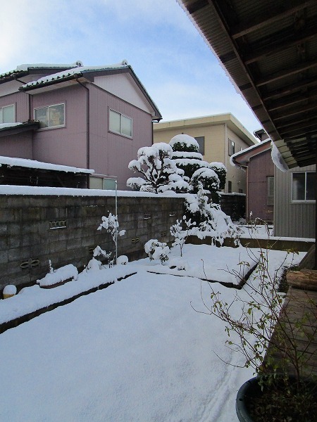 c0327752_10302172.jpg