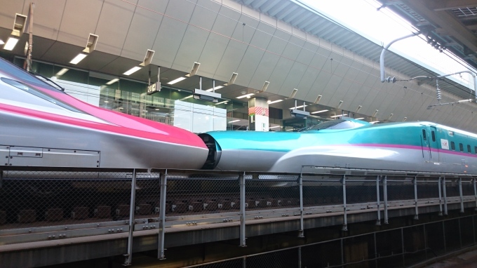 b0304662_20385622.jpg