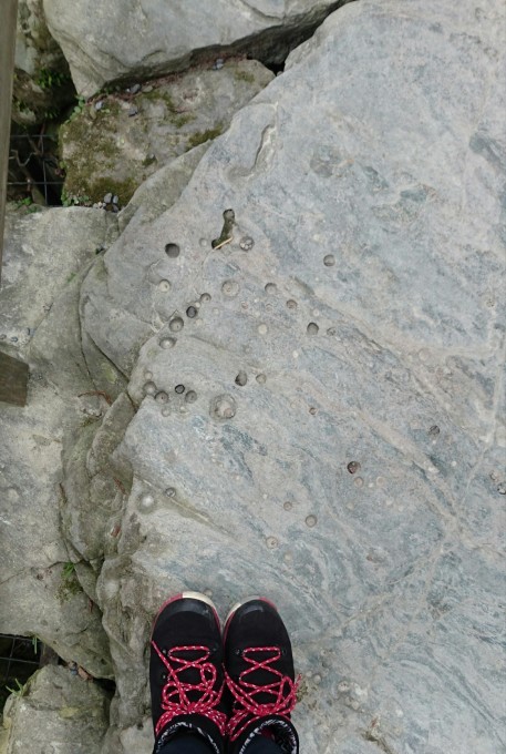 b0304662_20580817.jpg