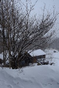 f0035962_1473473.jpg