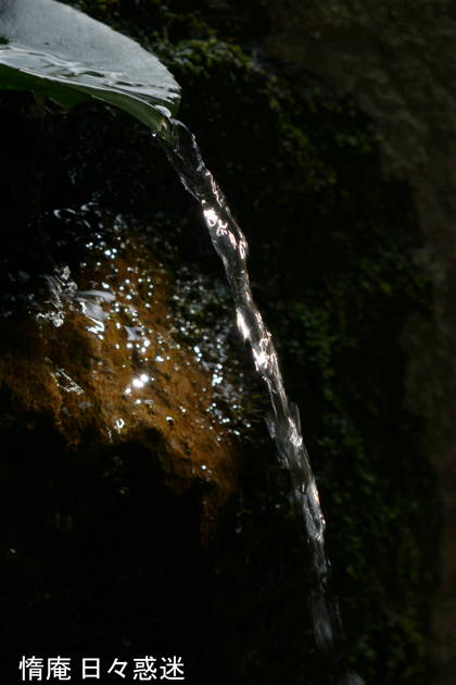 e0346064_19472031.gif