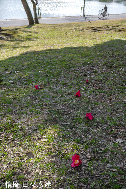 e0346064_19512630.gif