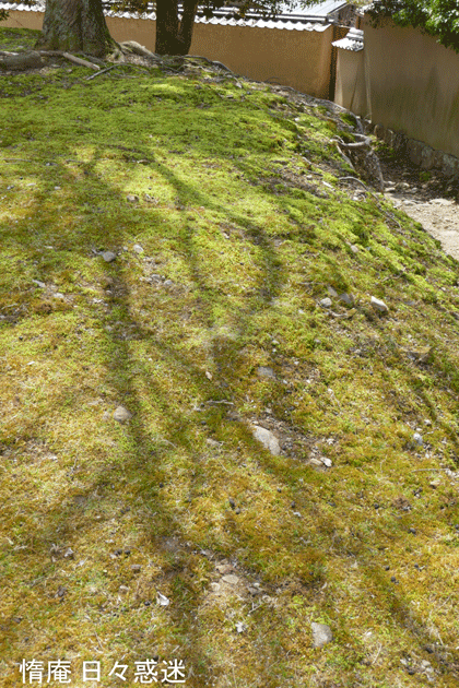 e0346064_19512846.gif