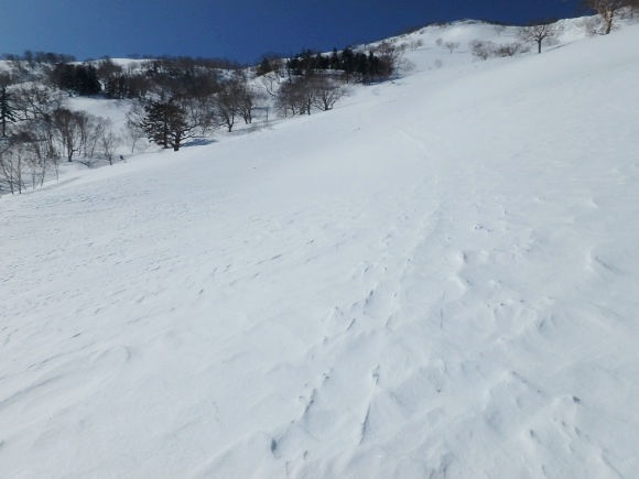 b0050067_00272341.jpg