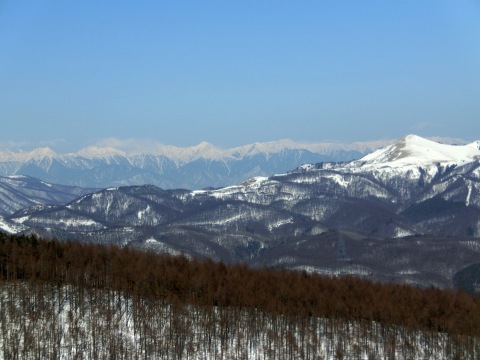 e0045768_22345534.jpg
