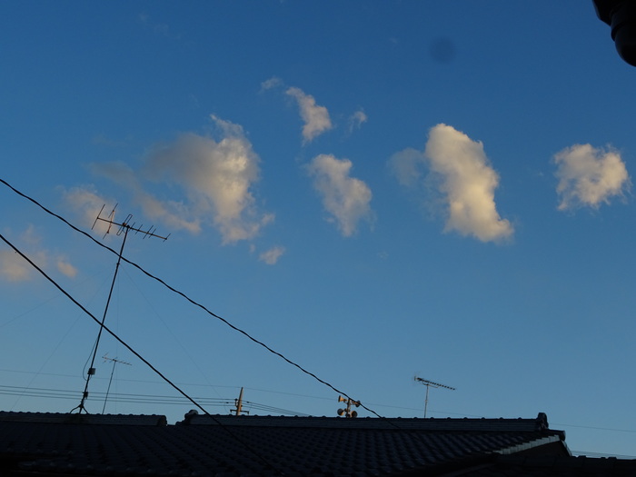 c0143772_17593467.jpg