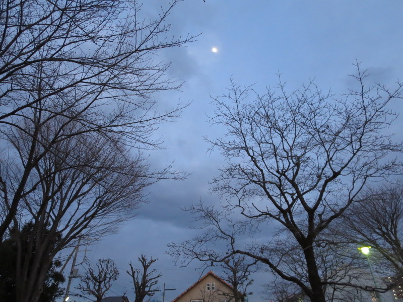 d0264176_1935342.jpg