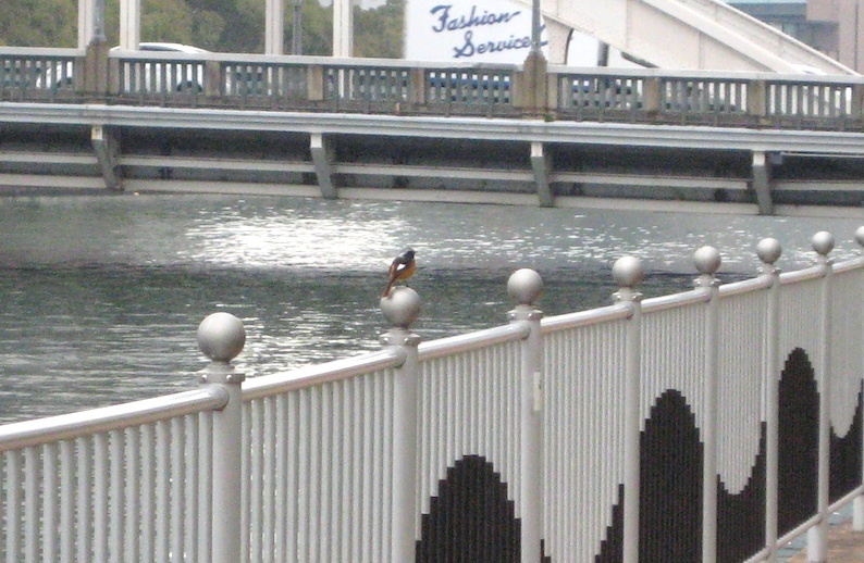 b0057679_08480174.jpg