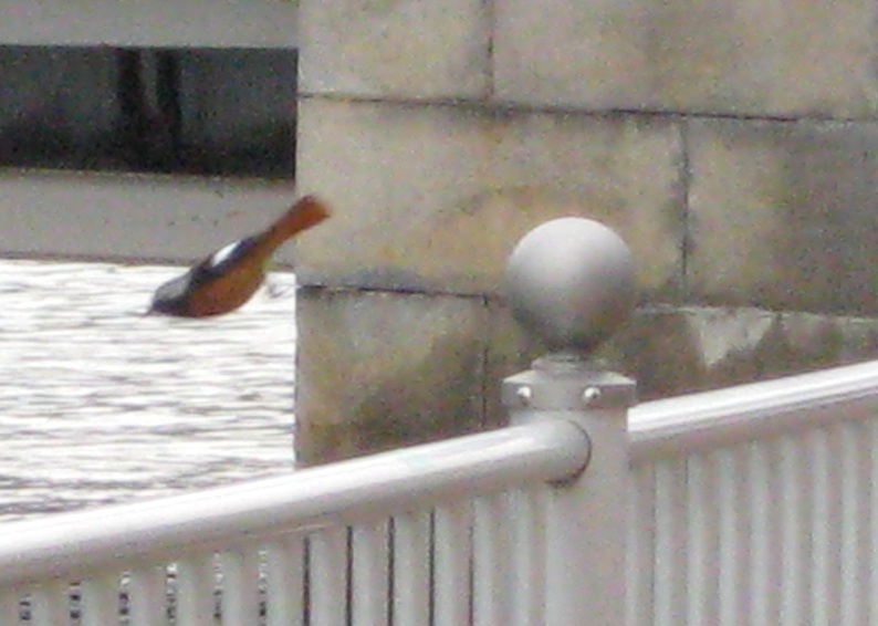 b0057679_08481475.jpg