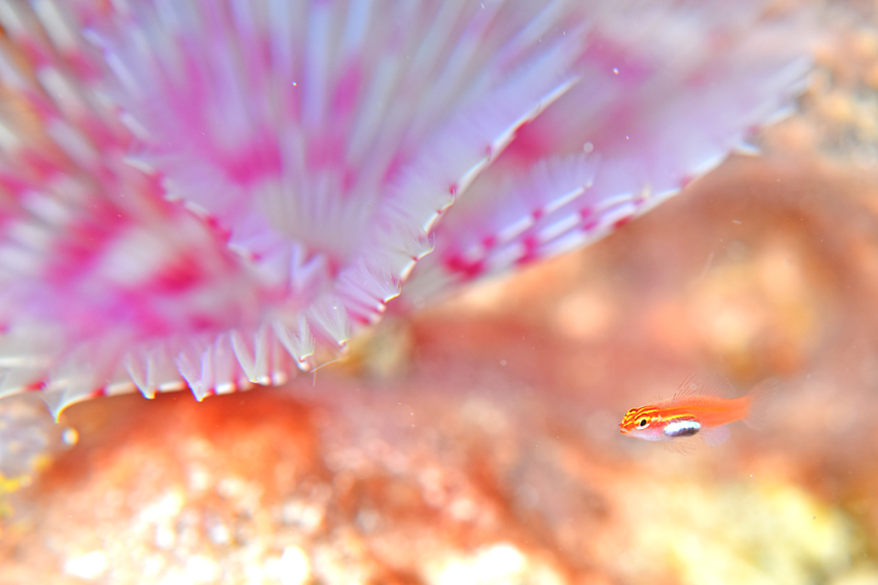 b0137083_20124216.jpg