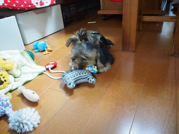 c0191390_2355952.jpg