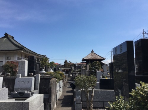 c0151691_21480947.jpg