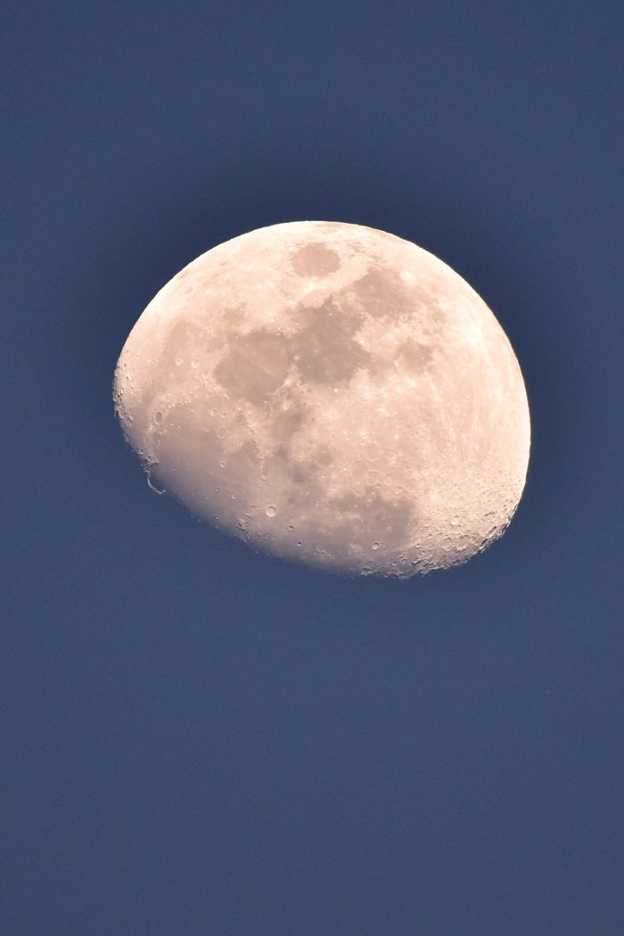 c0049299_23001265.jpg