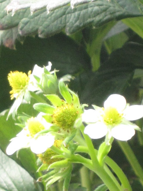 c0152002_17591553.jpg