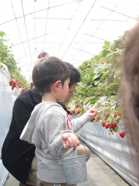 c0152002_18000763.jpg