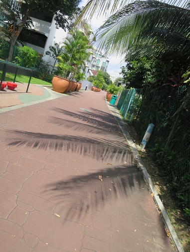 c0212604_6115612.jpg