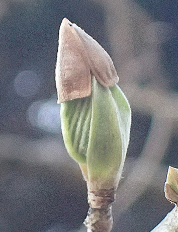 c0190915_18501847.jpg