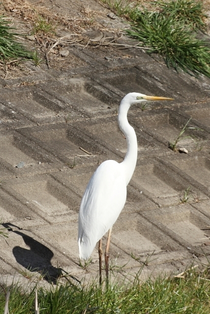 d0026817_20235300.jpg