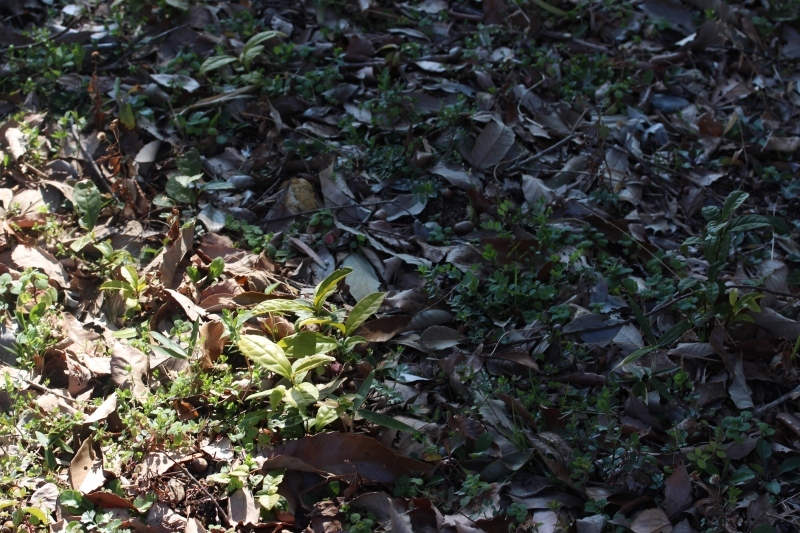 b0220318_14000935.jpg