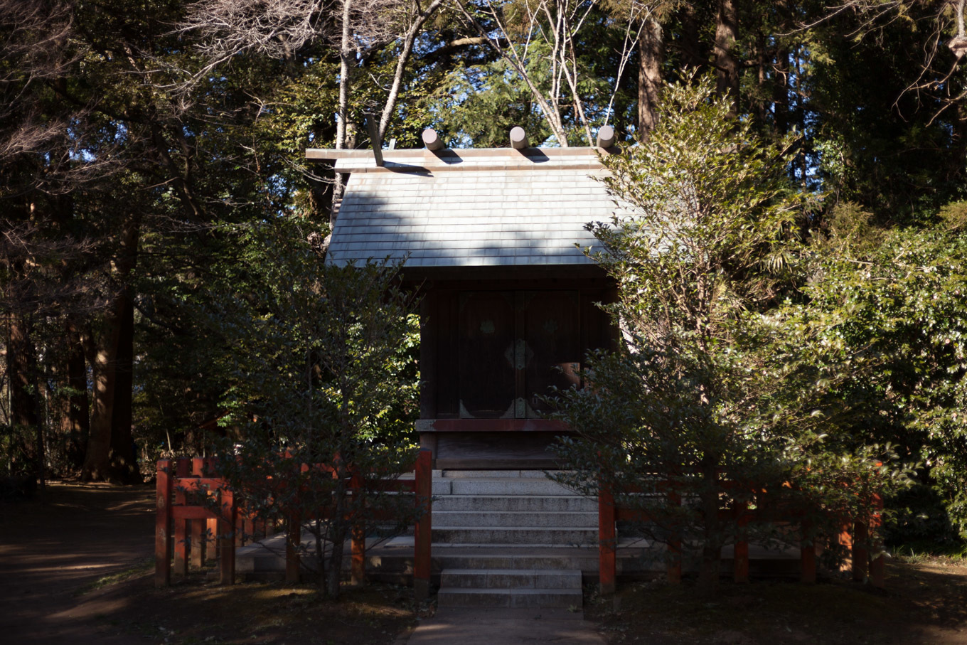 c0369219_21442557.jpg