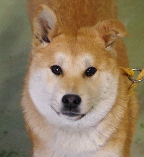 f0078320_21391932.jpg