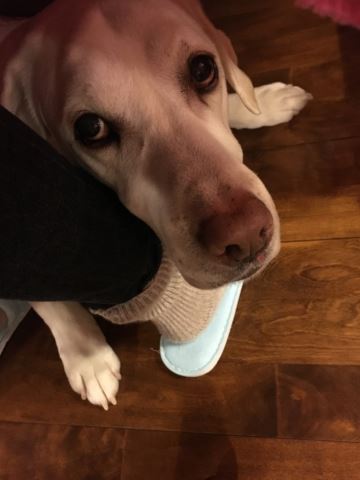 c0114121_2292885.jpg