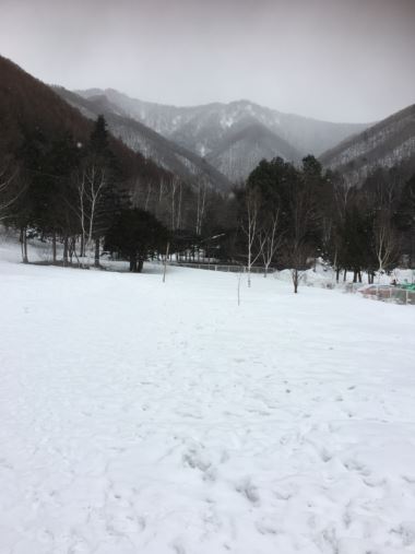 c0114121_2355564.jpg