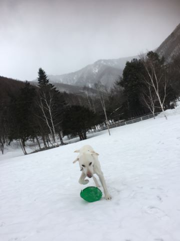 c0114121_23565789.jpg