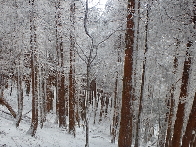 f0193521_1853249.jpg
