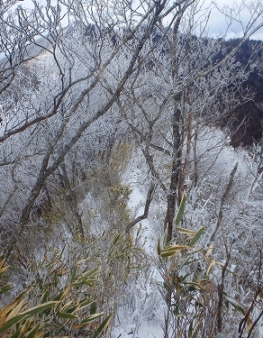 f0193521_19252349.jpg