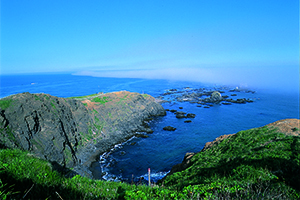 b0008825_13571623.jpg