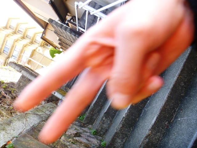 d0137326_23263726.jpg
