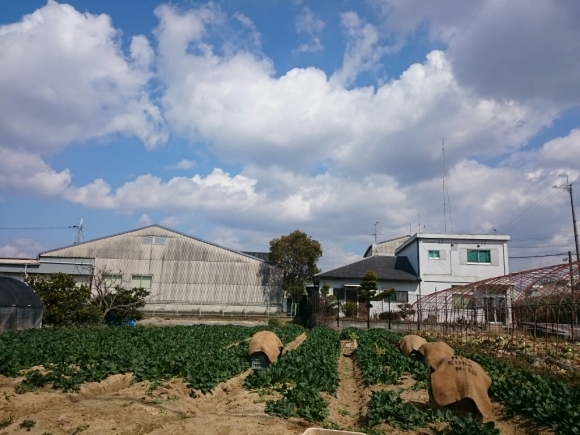 a0116538_13444232.jpg