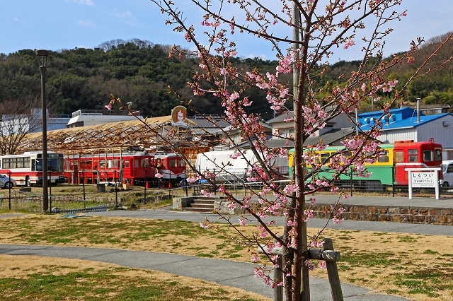 a0242438_21321890.jpg