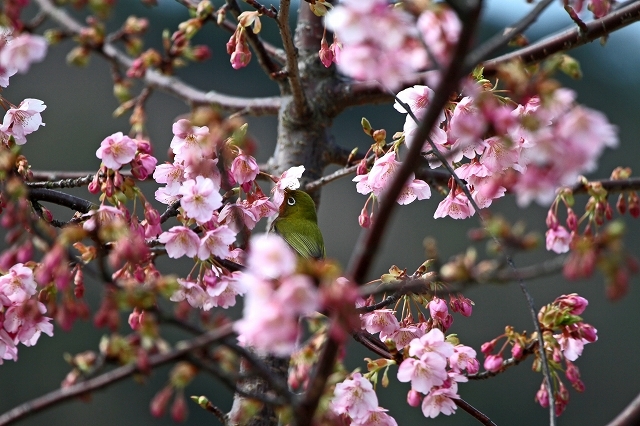 a0242438_21321969.jpg