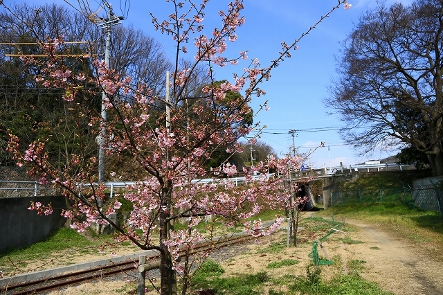 a0242438_21335129.jpg