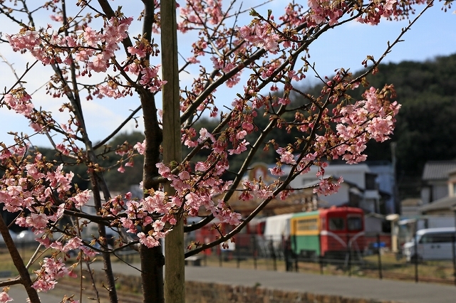 a0242438_21335151.jpg