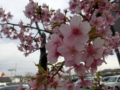 b0120541_06665.jpg