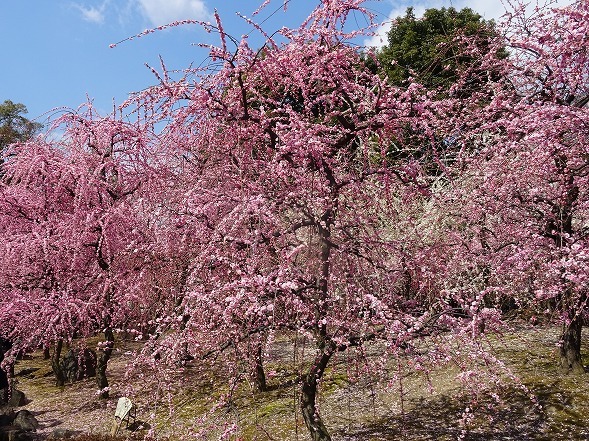 b0299042_16490524.jpg