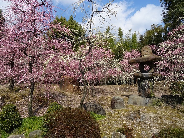 b0299042_16491257.jpg