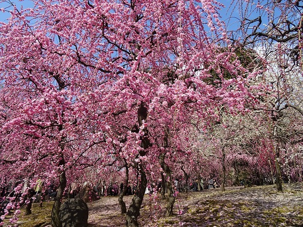 b0299042_16492284.jpg