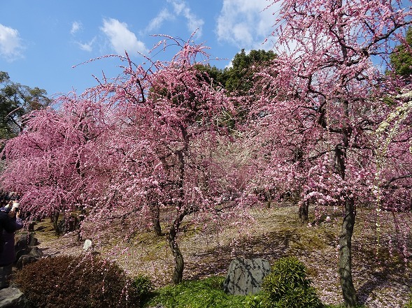 b0299042_16595450.jpg