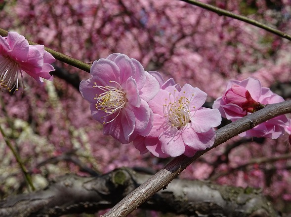 b0299042_17034621.jpg