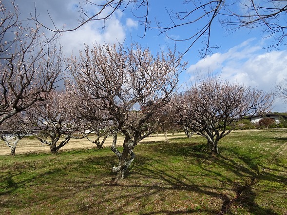 b0299042_18103428.jpg
