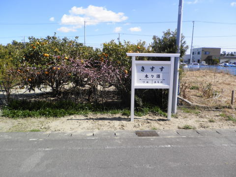 f0212142_06304000.jpg