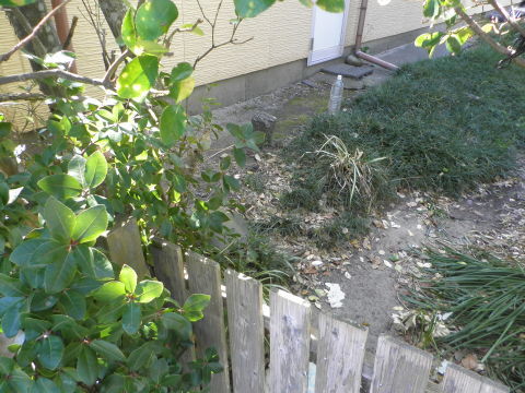 f0212142_06325526.jpg
