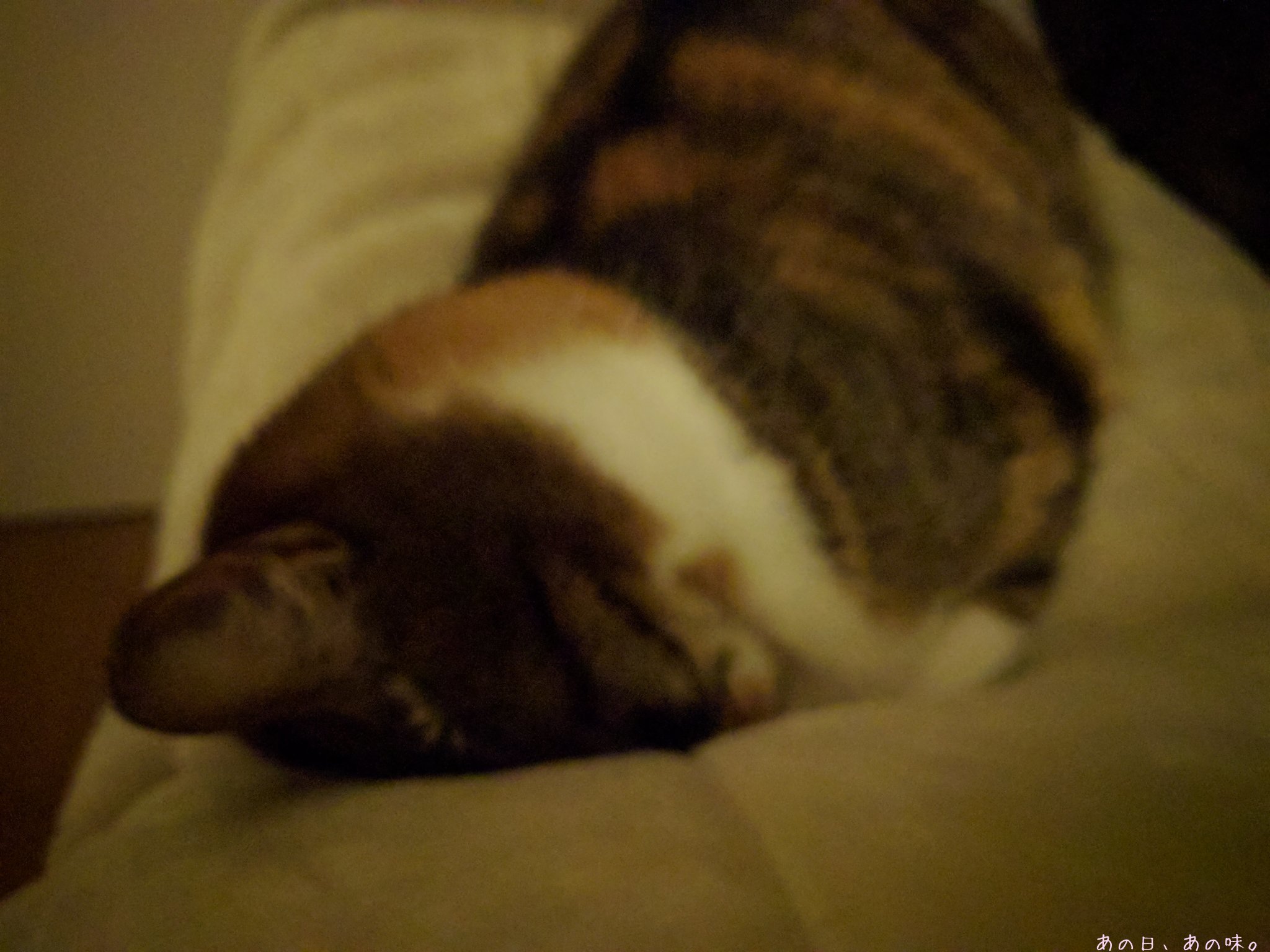 a0305046_09424150.jpg