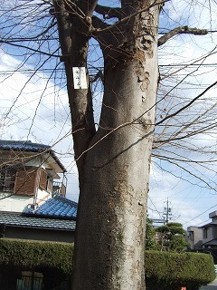 f0017848_18481941.jpg