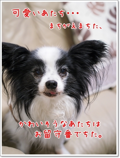 d0013149_00504547.jpg
